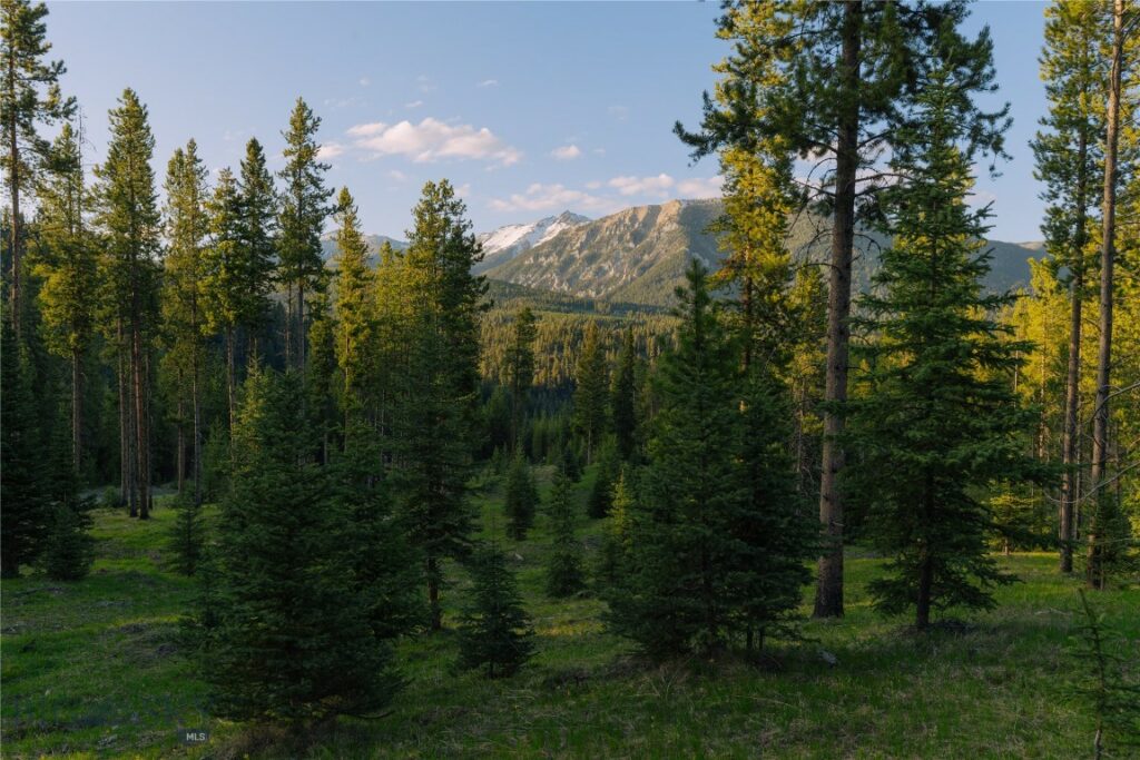 Lot 206 Outlook Trail, Big Sky MT 59716