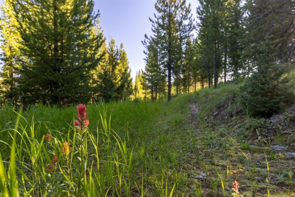 Lot 22 Upper Highland Drive, Big Sky MT 59716