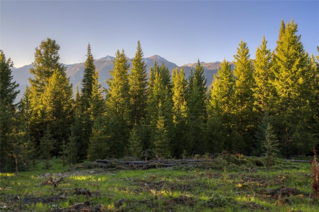 Lot 22 Upper Highland Drive, Big Sky MT 59716