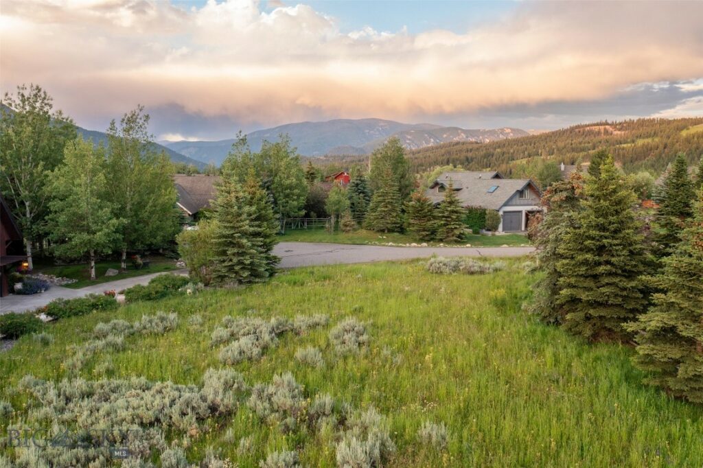 Lot 3 Cutthroat Trout, Big Sky MT 59716