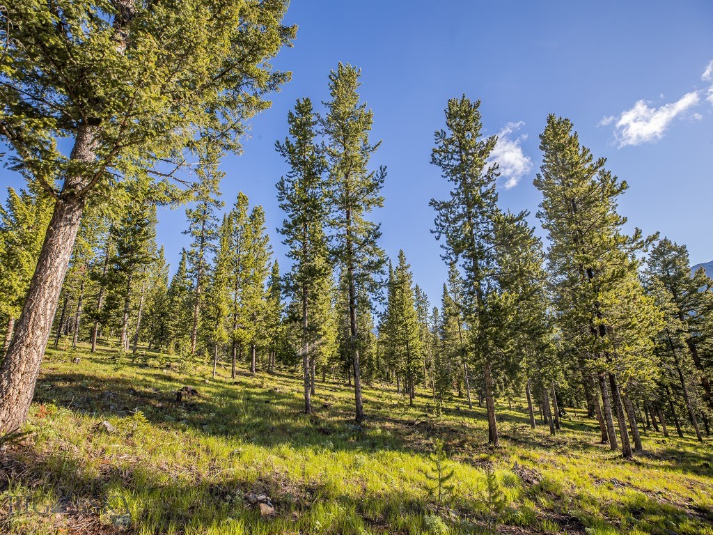 Lot 3 Lost Trails Road, Big Sky MT 59716