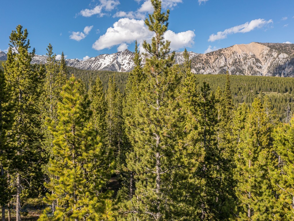 Lot 3 Lost Trails Road, Big Sky MT 59716