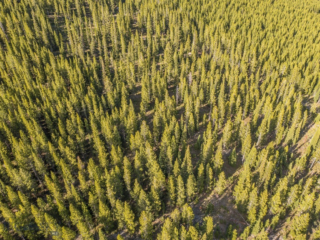 Lot 3 Lost Trails Road, Big Sky MT 59716