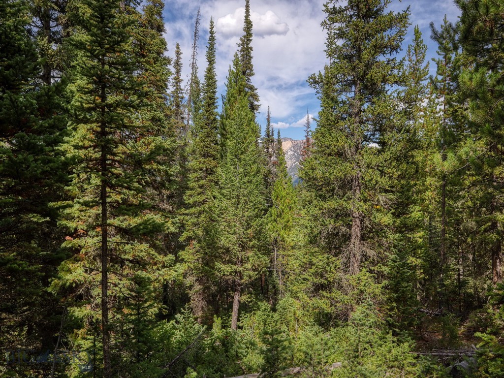 Lot 34 Mountain Valley Trail, Big Sky MT 59716