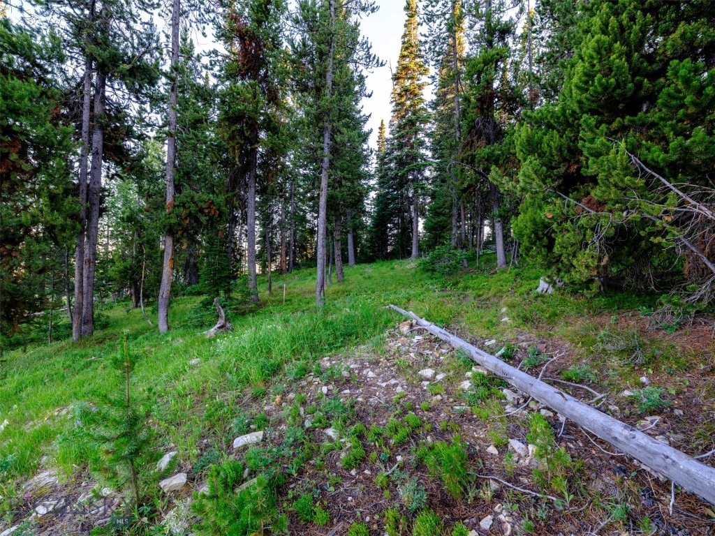 Lot 59 Goshawk Road, Big Sky MT 59716