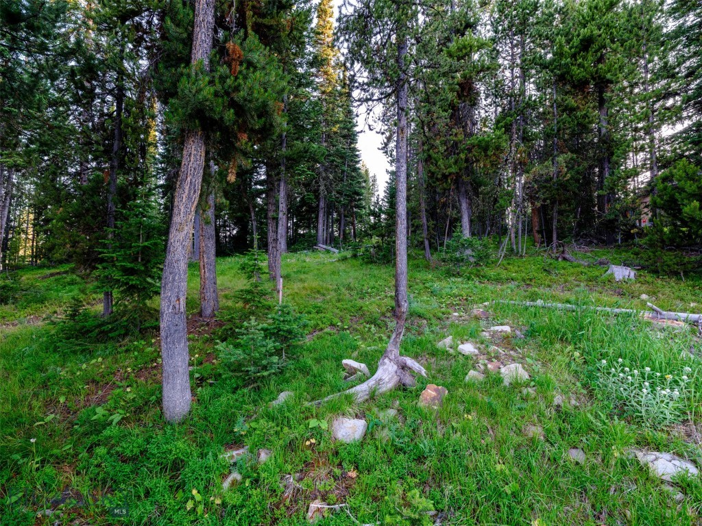 Lot 59 Goshawk Road, Big Sky MT 59716