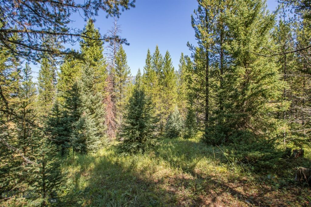Lot 7 Skywood Road, Big Sky MT 59716