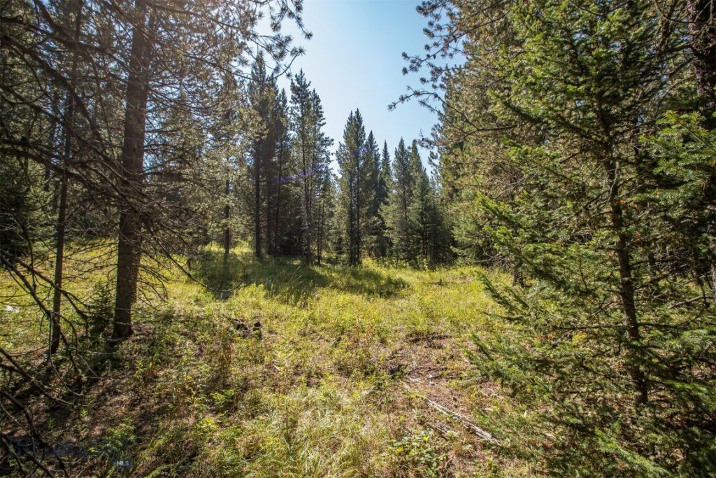 Lot 7 Skywood Road, Big Sky MT 59716