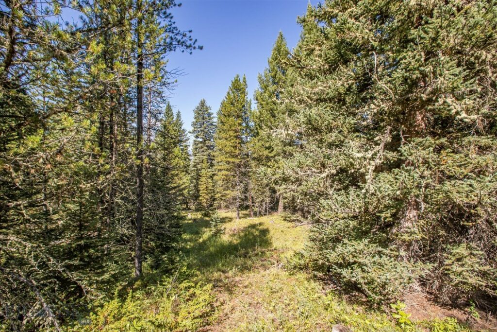 Lot 7 Skywood Road, Big Sky MT 59716