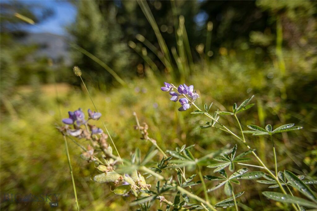 Lot 7 Skywood Road, Big Sky MT 59716
