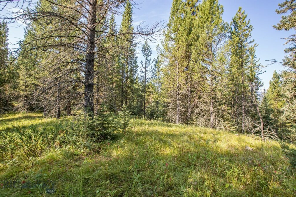 Lot 7 Skywood Road, Big Sky MT 59716