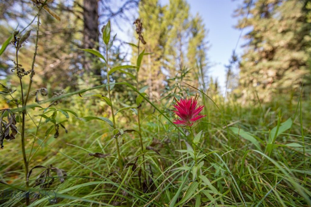 Lot 7 Skywood Road, Big Sky MT 59716