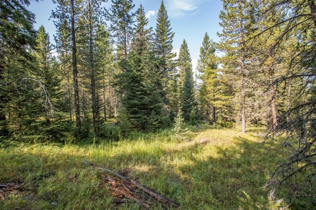 Lot 7 Skywood Road, Big Sky MT 59716