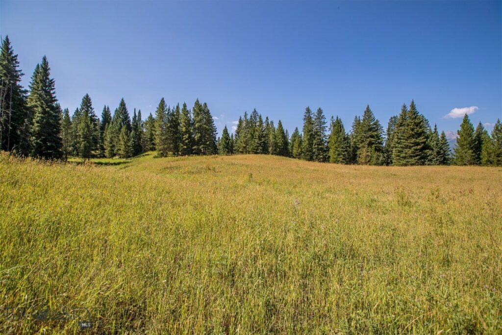 Lot 7 Skywood Road, Big Sky MT 59716
