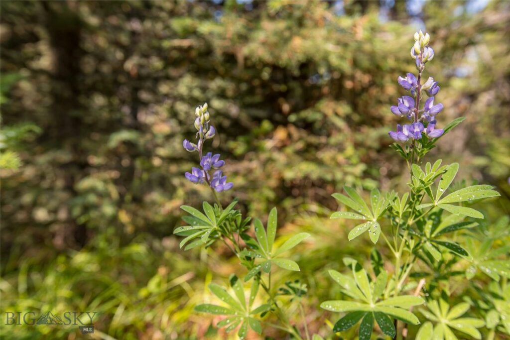 Lot 7 Skywood Road, Big Sky MT 59716