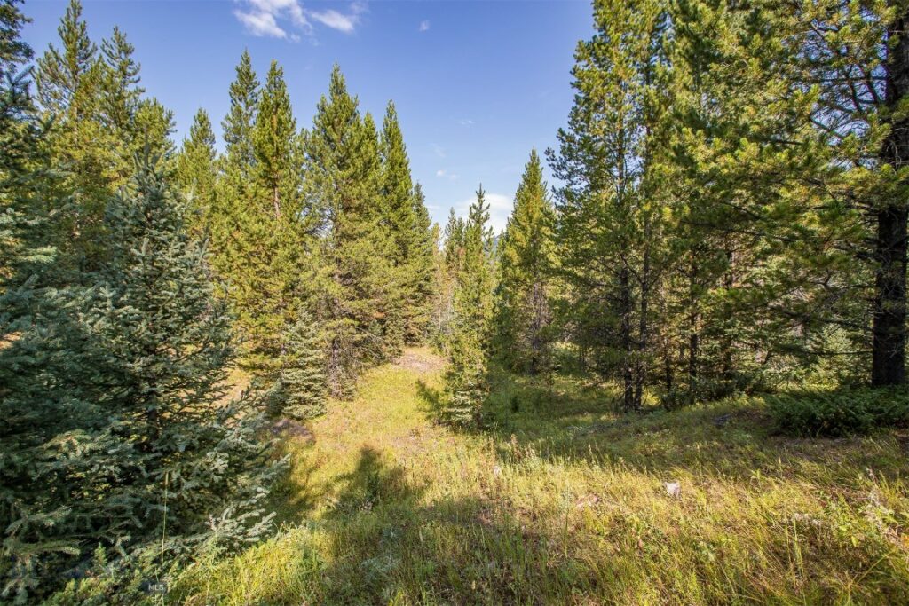 Lot 7 Skywood Road, Big Sky MT 59716