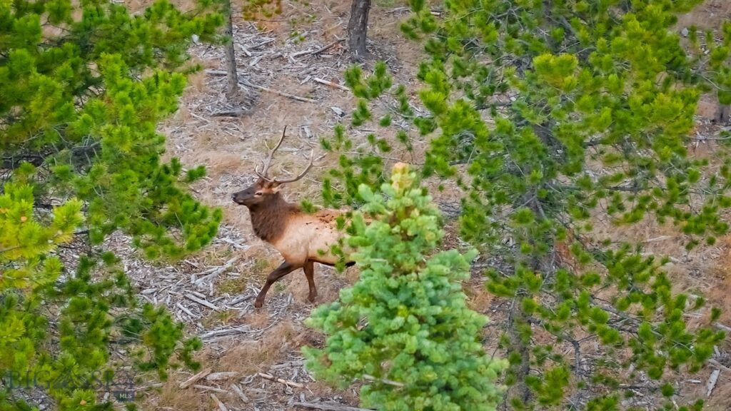 Lot 1 & 2 Wheatgrass Meadows, Big Sky MT 59716