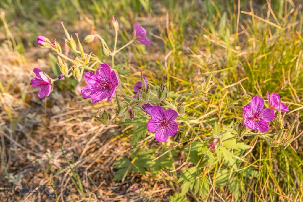 TBD Seclusion Point Lot 154, Big Sky MT 59716