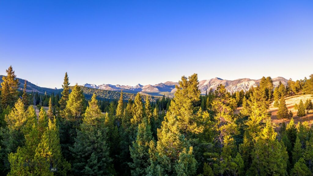 Lot 1 & 2 Wheatgrass Meadows, Big Sky MT 59716