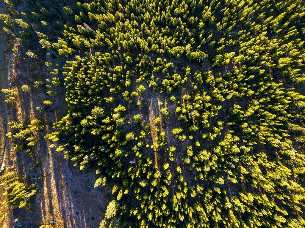 Lot 1 & 2 Wheatgrass Meadows, Big Sky MT 59716