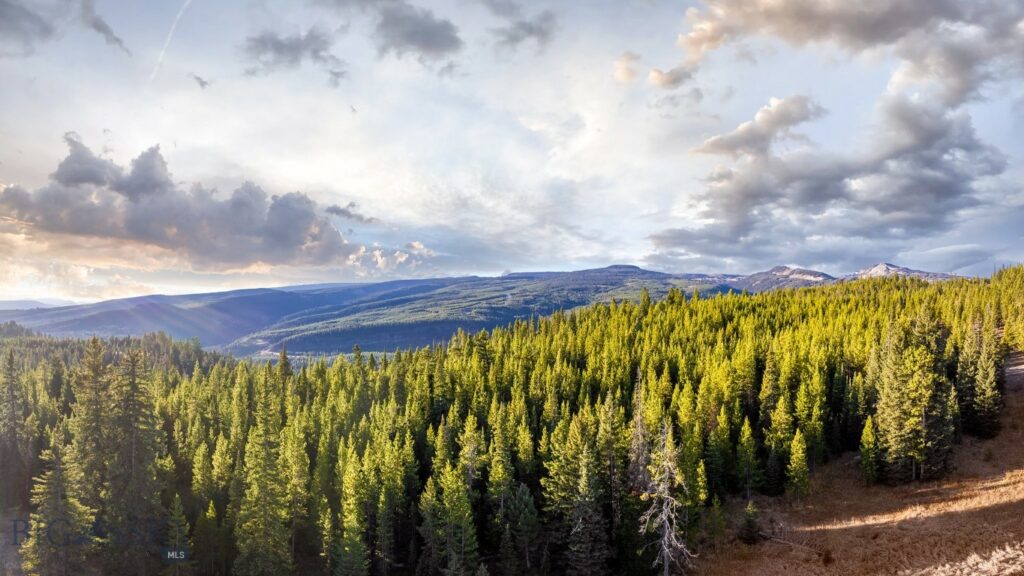 Lot 1 & 2 Wheatgrass Meadows, Big Sky MT 59716