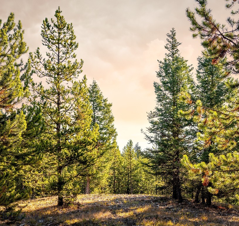 Lot 1 & 2 Wheatgrass Meadows, Big Sky MT 59716