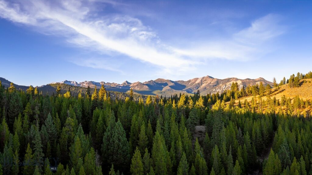 Lot 1 & 2 Wheatgrass Meadows, Big Sky MT 59716