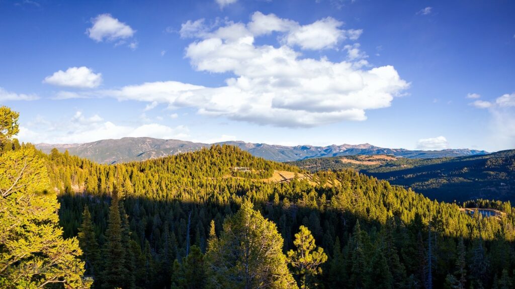 Lot 1 & 2 Wheatgrass Meadows, Big Sky MT 59716