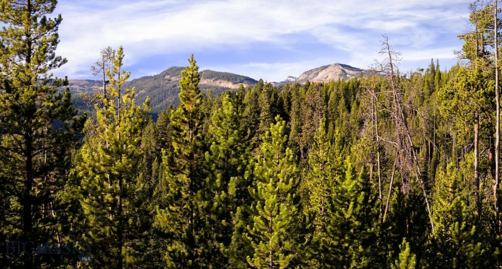 Lot 1 & 2 Wheatgrass Meadows, Big Sky MT 59716