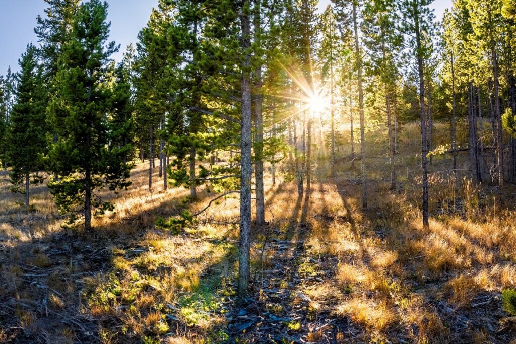 Lot 1 & 2 Wheatgrass Meadows, Big Sky MT 59716