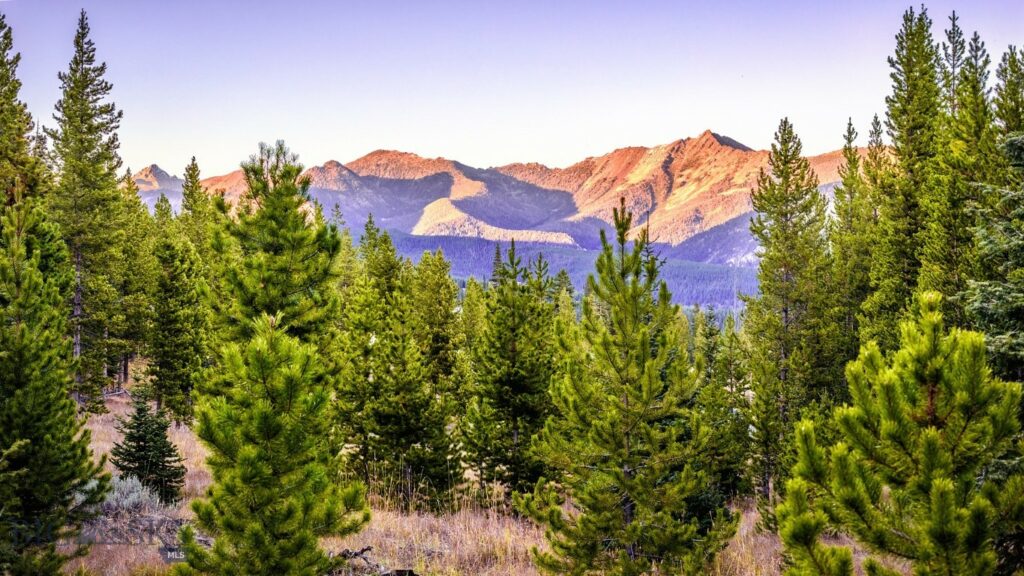 Lot 1 & 2 Wheatgrass Meadows, Big Sky MT 59716