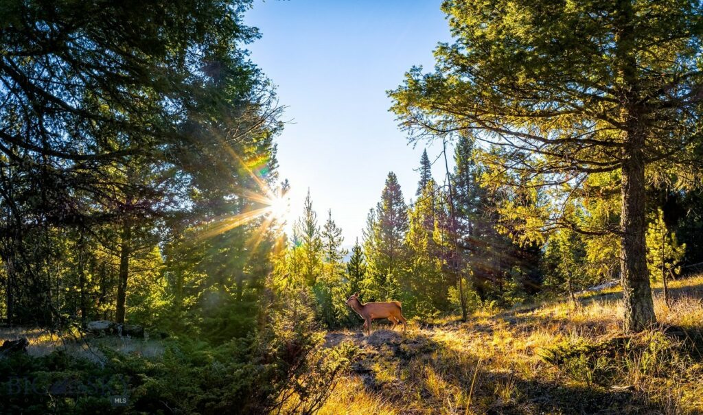 Lot 1 & 2 Wheatgrass Meadows, Big Sky MT 59716