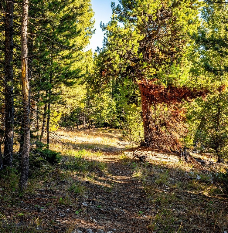 Lot 1 & 2 Wheatgrass Meadows, Big Sky MT 59716