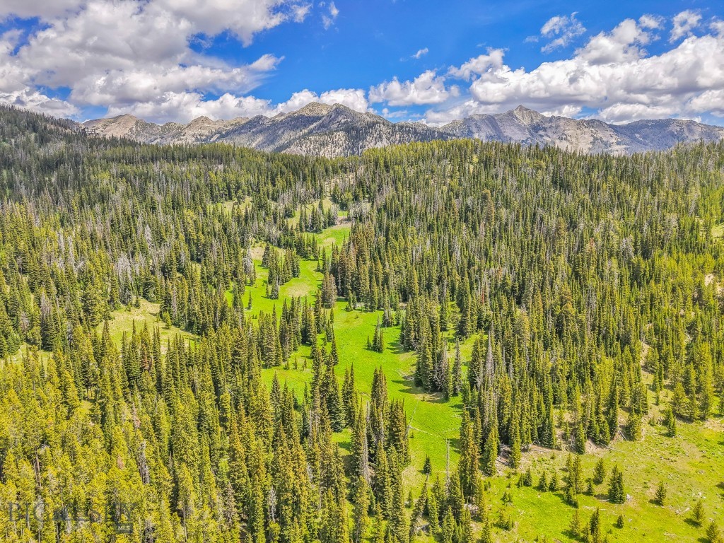 NHN Beehive Basin Road, Big Sky MT 59730