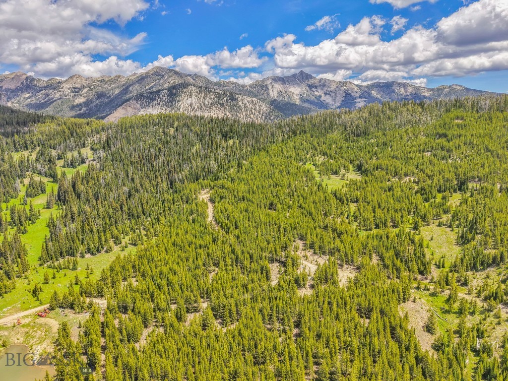 NHN Beehive Basin Road, Big Sky MT 59730