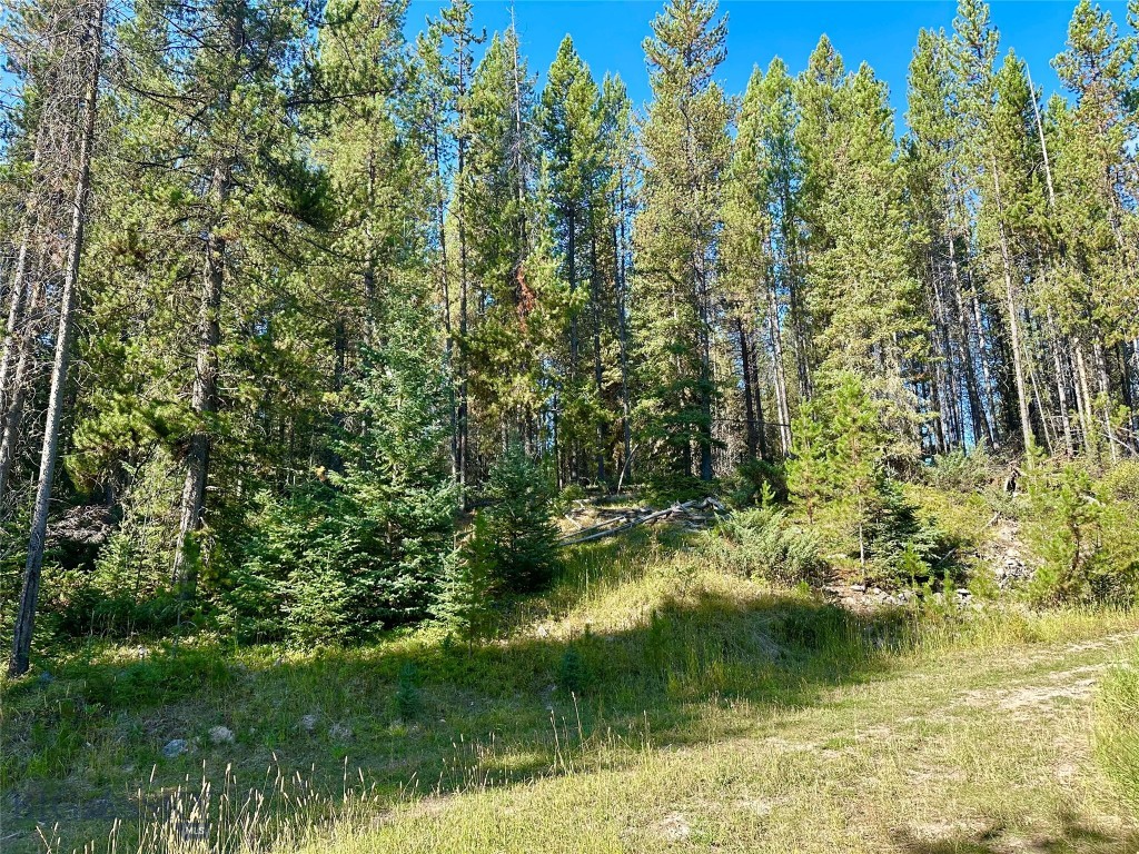 NHN Skywood Road, Big Sky MT 59716