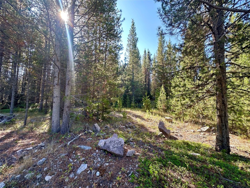 NHN Skywood Road, Big Sky MT 59716