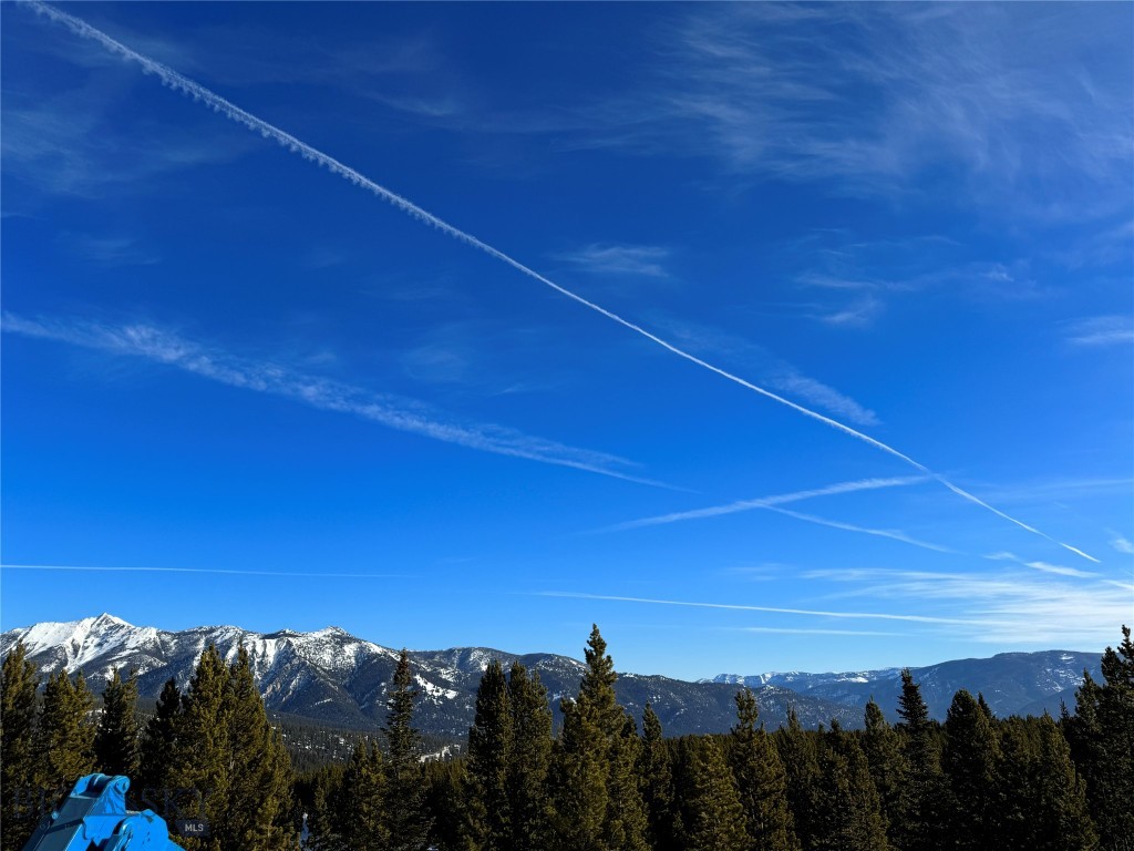 1195 EAGLE VIEW Trail, Big Sky MT 59716