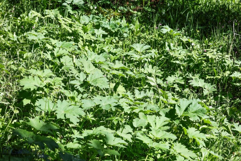 tbd Crown Butte – SPMC Ranch Lot 89, Big Sky MT 59716