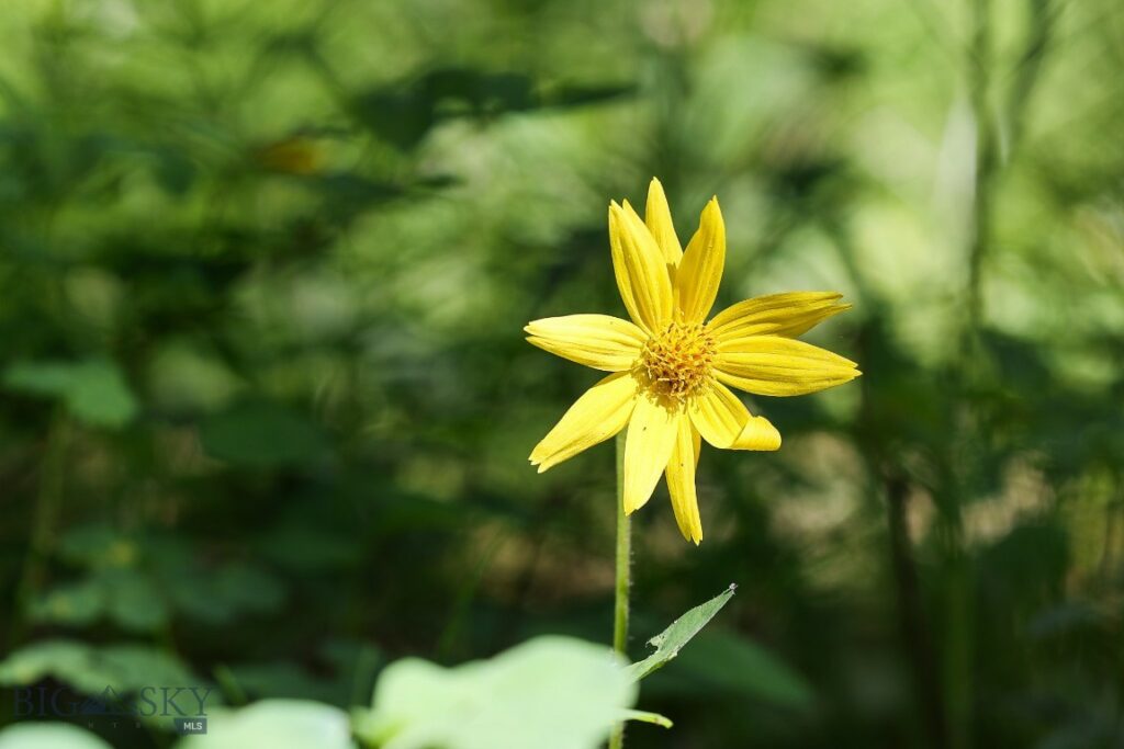 tbd Crown Butte – SPMC Ranch Lot 89, Big Sky MT 59716