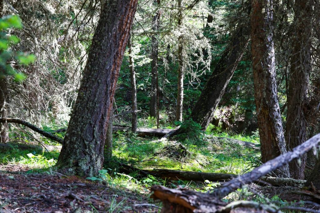 tbd Crown Butte – SPMC Ranch Lot 89, Big Sky MT 59716