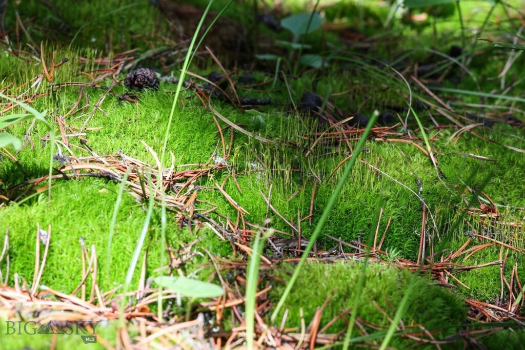 tbd Crown Butte – SPMC Ranch Lot 89, Big Sky MT 59716