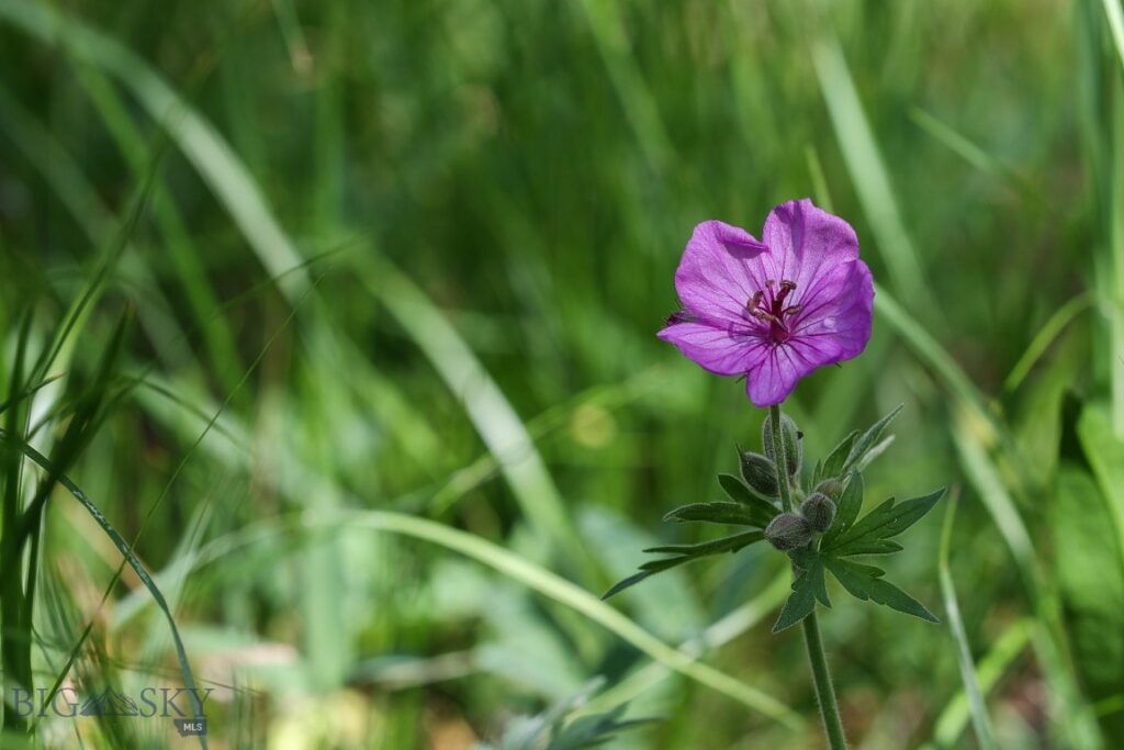 tbd Crown Butte – SPMC Ranch Lot 89, Big Sky MT 59716