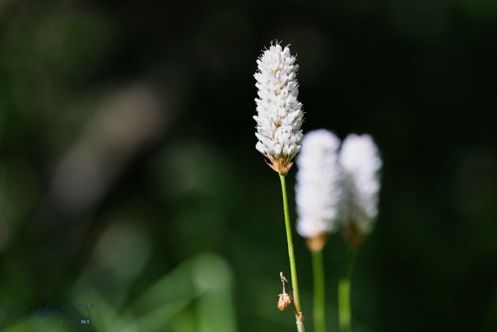 tbd Crown Butte – SPMC Ranch Lot 89, Big Sky MT 59716