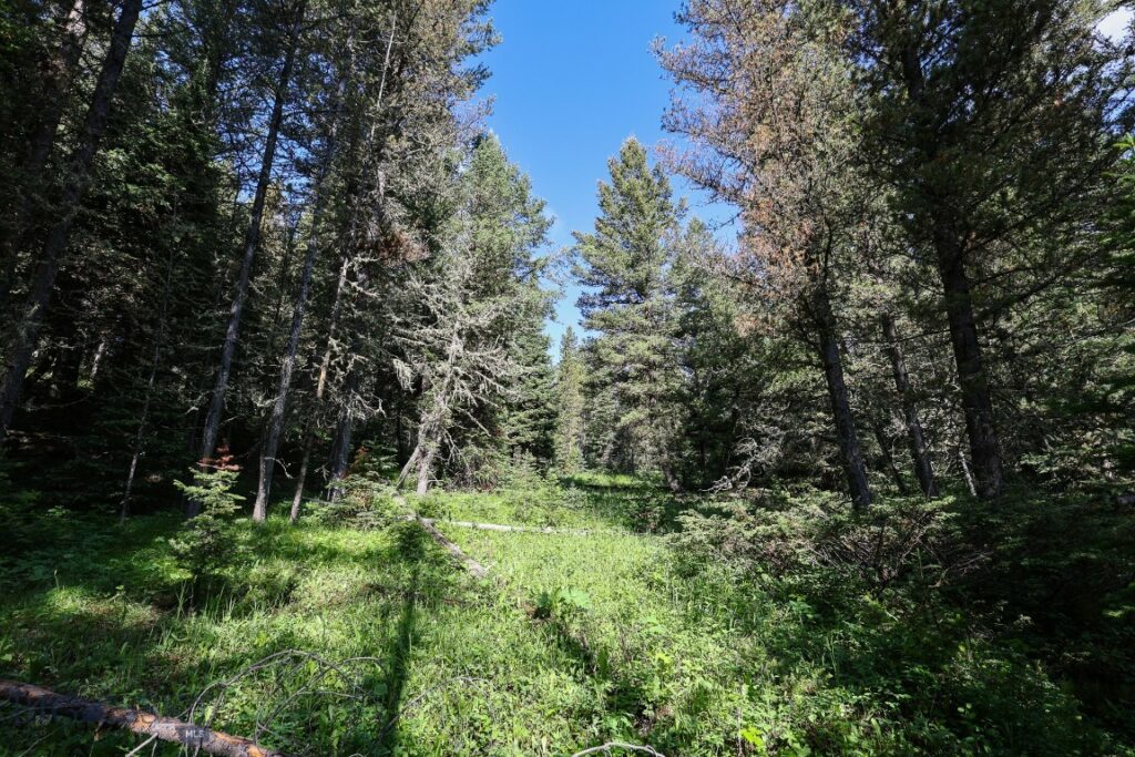 tbd Crown Butte – SPMC Ranch Lot 89, Big Sky MT 59716