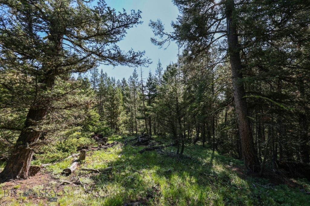 tbd Crown Butte – SPMC Ranch Lot 89, Big Sky MT 59716