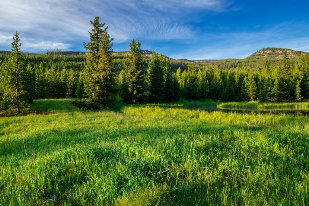 Lot 7 Trout Pond Lane, Big Sky MT 59716