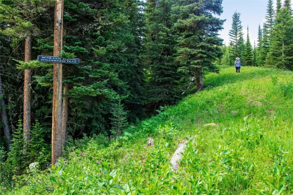 Lot 7 Trout Pond Lane, Big Sky MT 59716