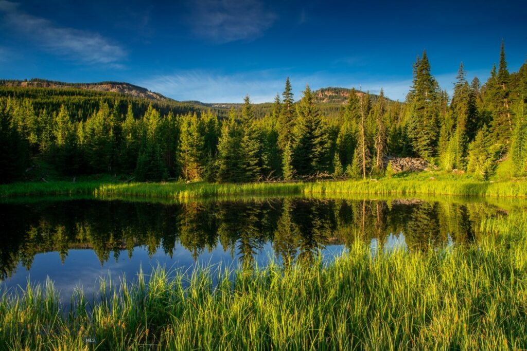 Lot 7 Trout Pond Lane, Big Sky MT 59716