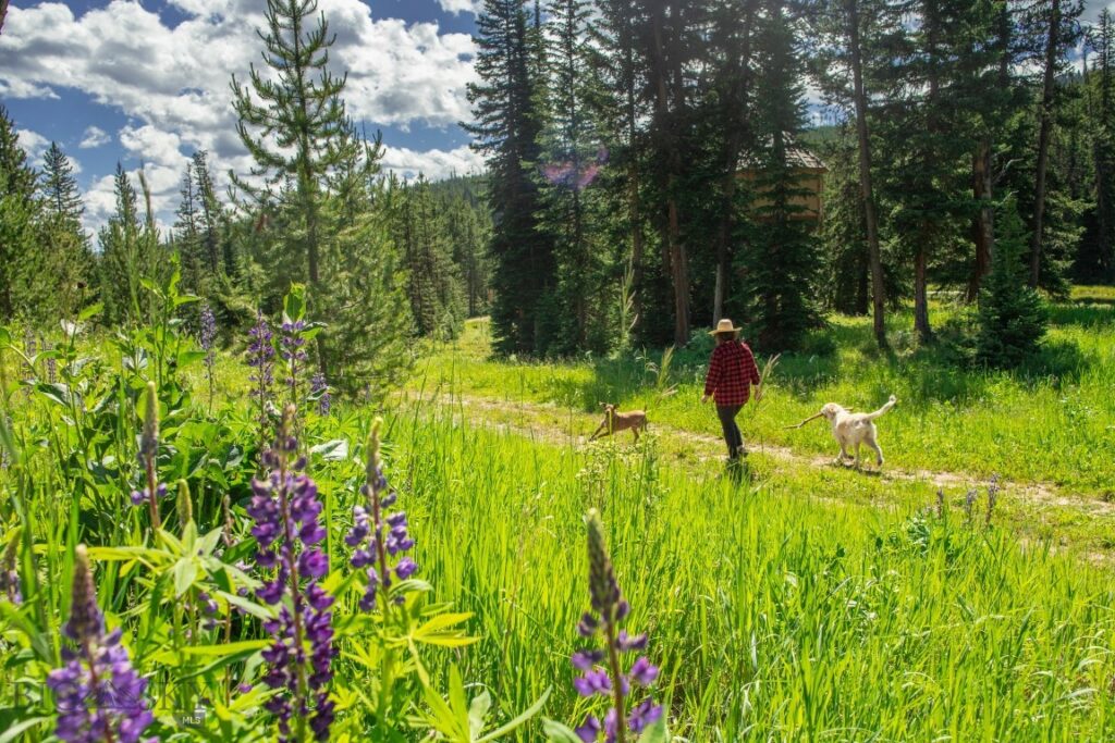 Lot 7 Trout Pond Lane, Big Sky MT 59716